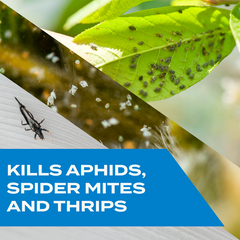 Plant Pest Spray, Kills Plant & Garden Insects, 12oz