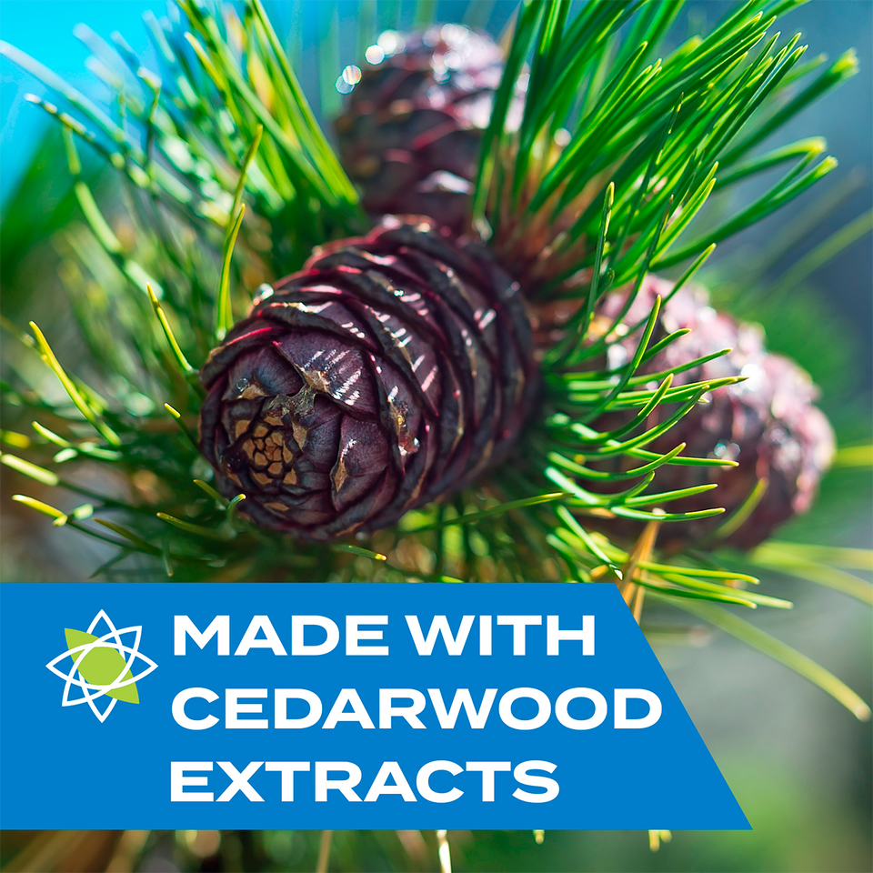 Plant Pest Spray, Kills Plant & Garden Insects, 12oz