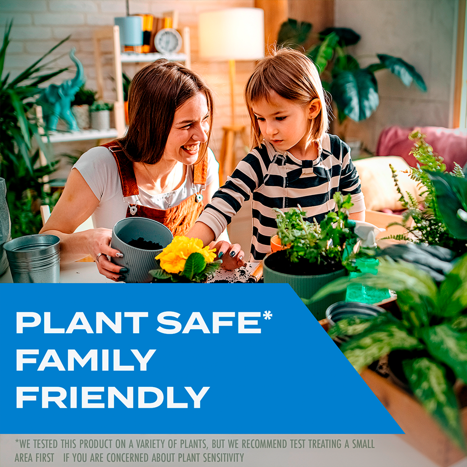 Plant Pest Spray, Kills Plant & Garden Insects, 12oz