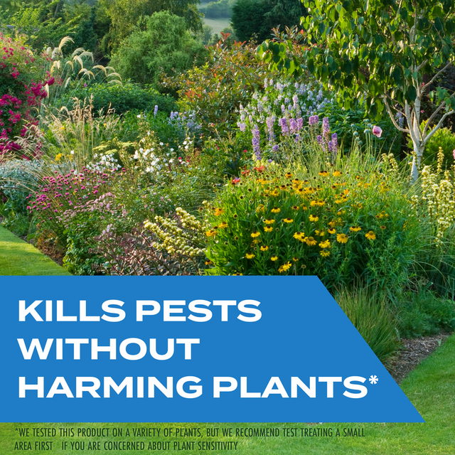 Plant Pest Spray, Kills Plant & Garden Insects, 12oz