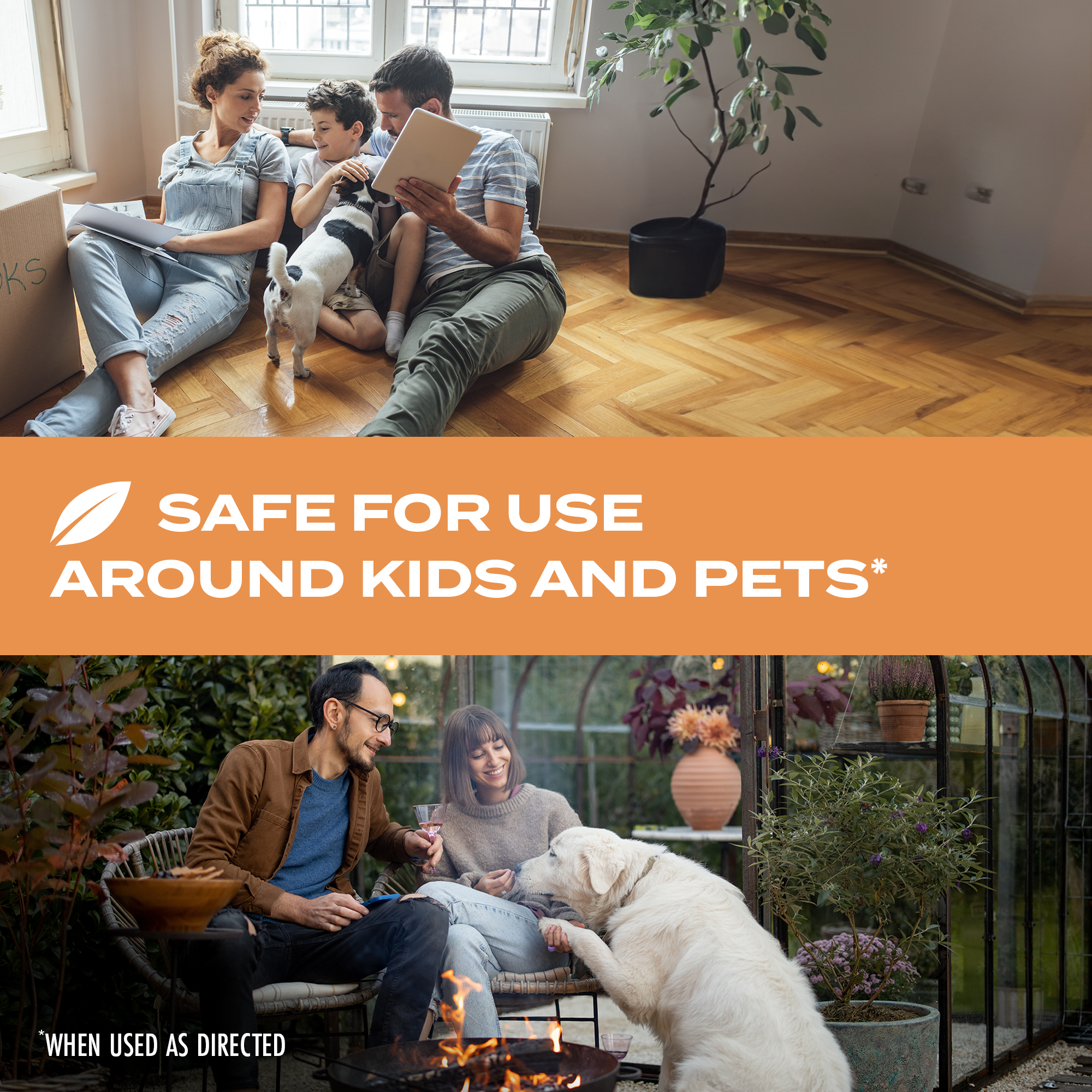 Kills Wasps, Hornets & Yellow Jackets Spray, 10 oz