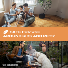 Kills Wasps, Hornets & Yellow Jackets Spray, 10 oz