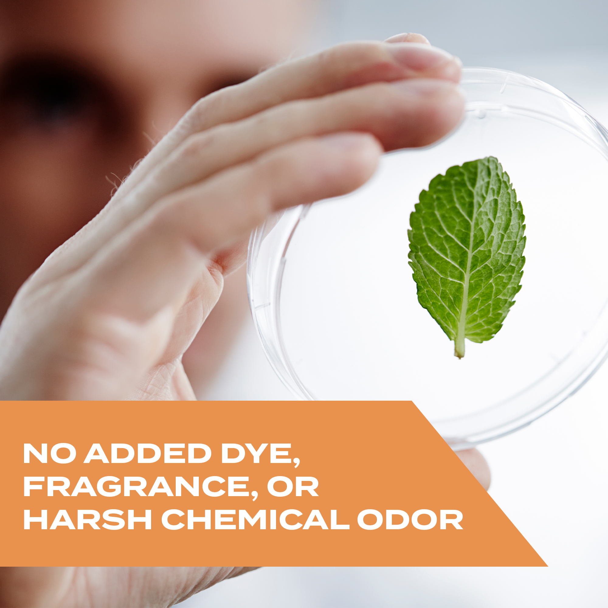 Kills Wasps, Hornets & Yellow Jackets Spray, 10 oz