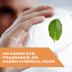 Kills Wasps, Hornets & Yellow Jackets Spray, 10 oz