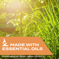 Kills Wasps, Hornets & Yellow Jackets Spray, 10 oz