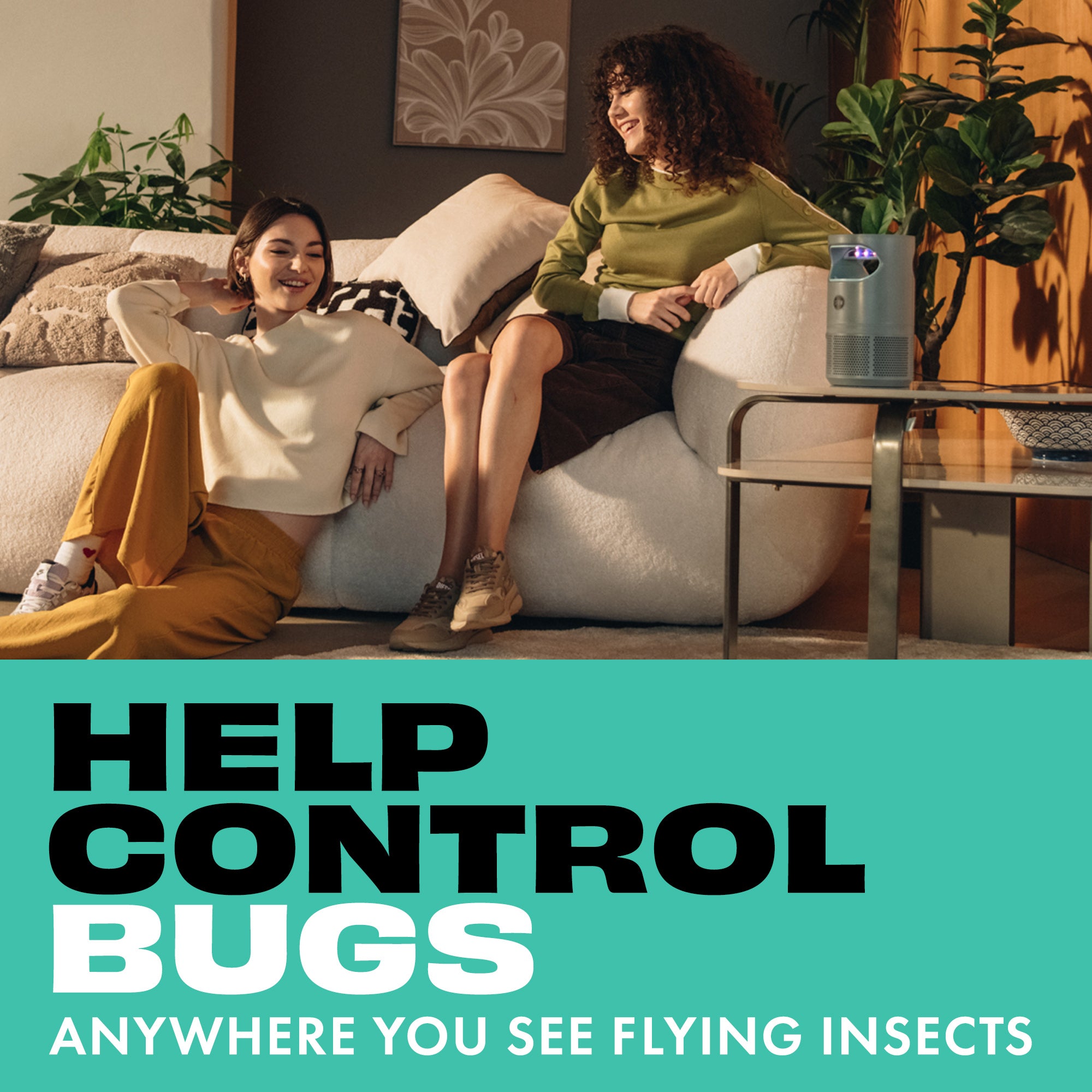 Flying Insects Fan Trap Refills 5ct