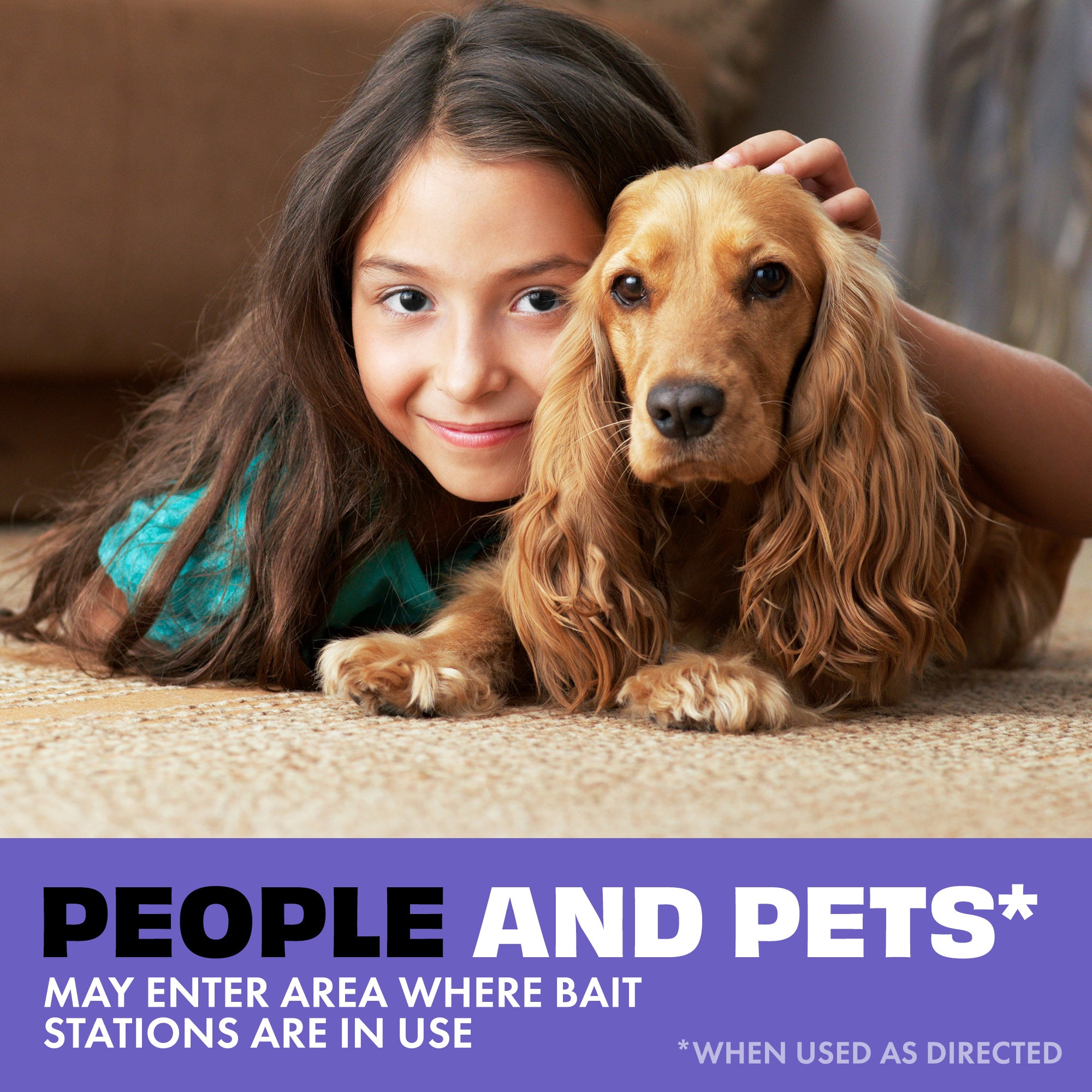 Kills Ants, Roaches, & Spiders Bug Spray, 10oz