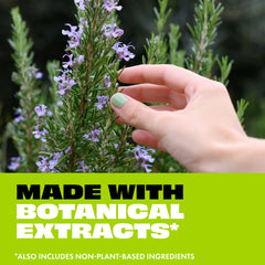 Insect Repellent Spray with Essential Oil
