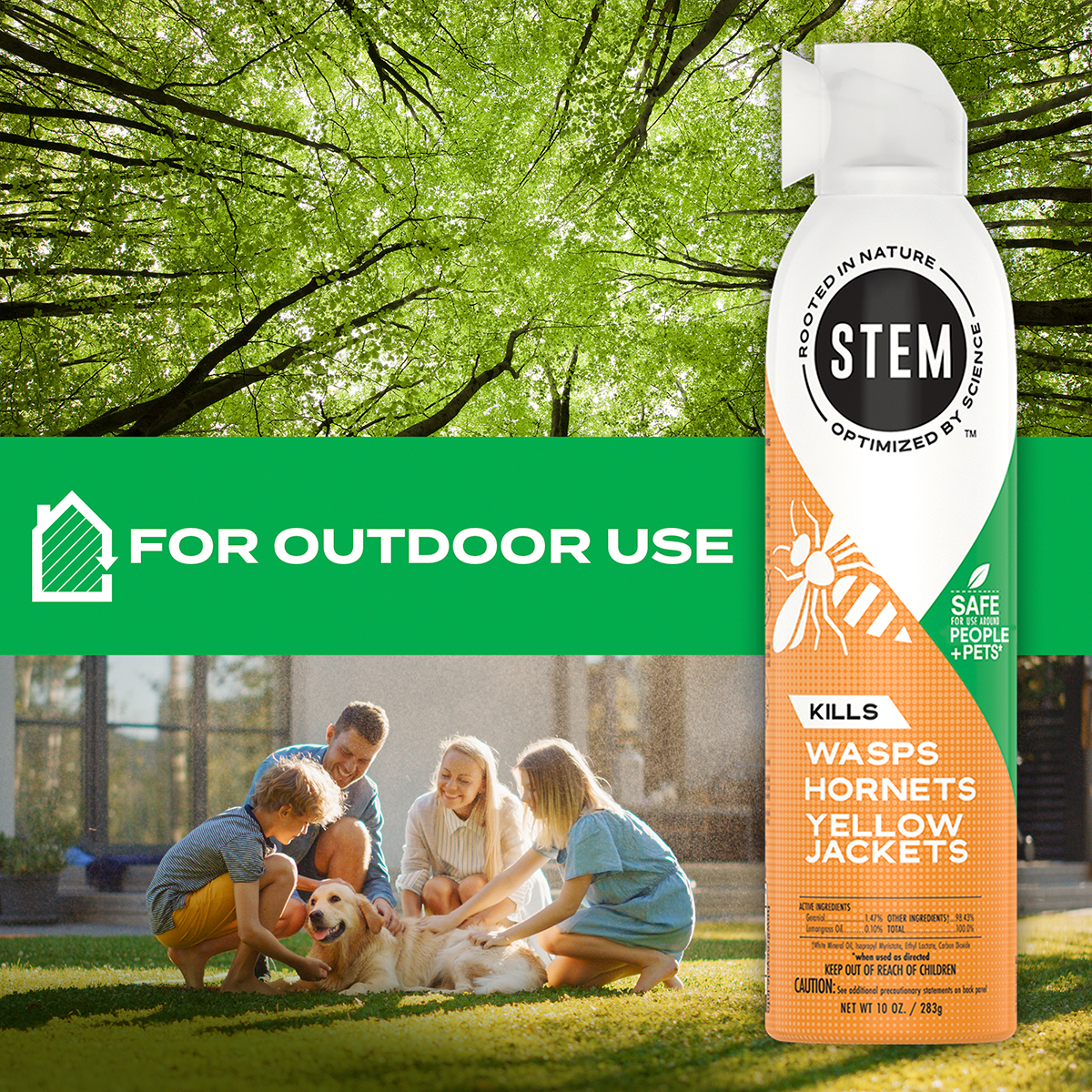 Kills Wasps, Hornets & Yellow Jackets Spray, 10 oz