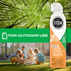 Kills Wasps, Hornets & Yellow Jackets Spray, 10 oz