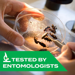 Kills Ants, Roaches, & Spiders Bug Spray, 10oz