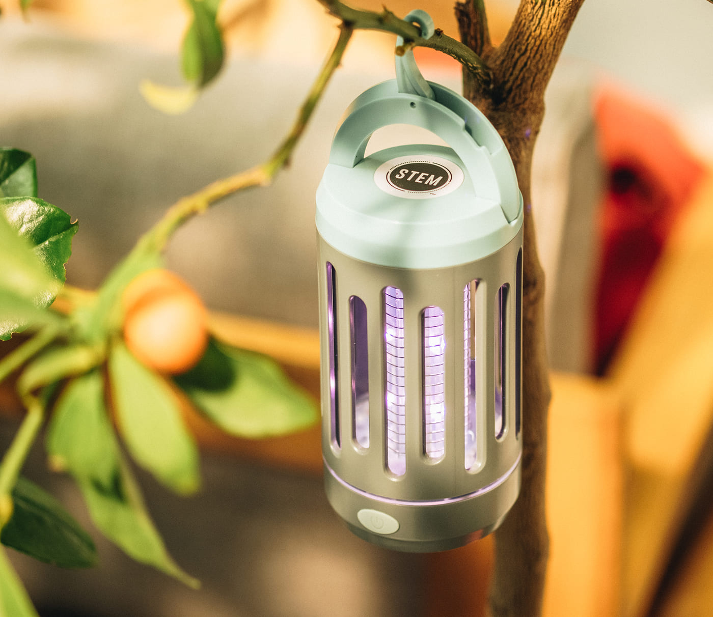 Inside Insect Clicker Indoor Flying Insects – STEM for bugs