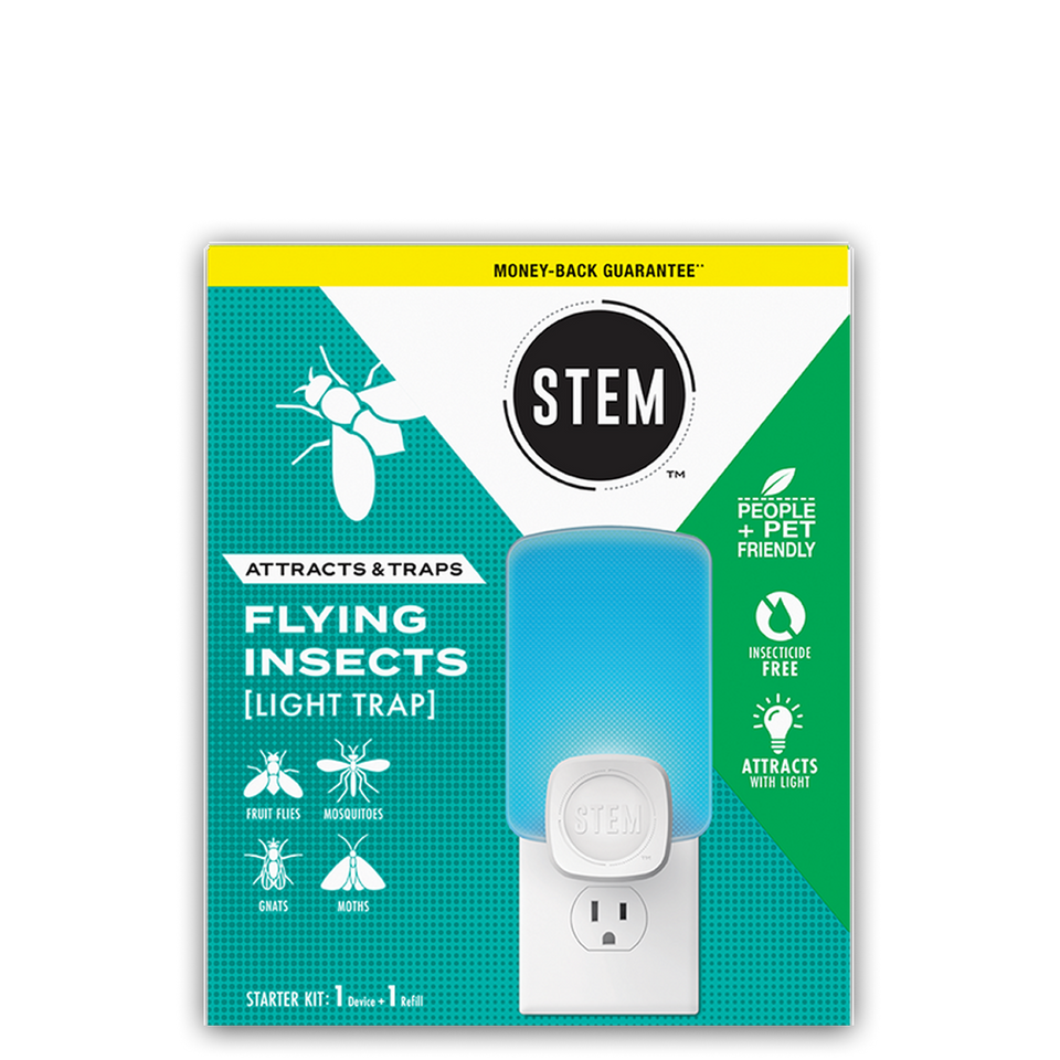 Flying Insects Light Trap Starter Kit