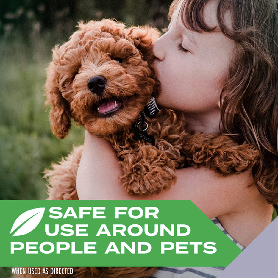 Kills Ants, Roaches, & Spiders Bug Spray, 10oz