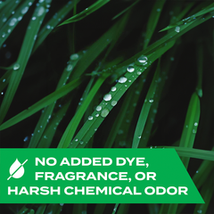 Kills Ants, Roaches, & Flies Bug Spray, 12oz