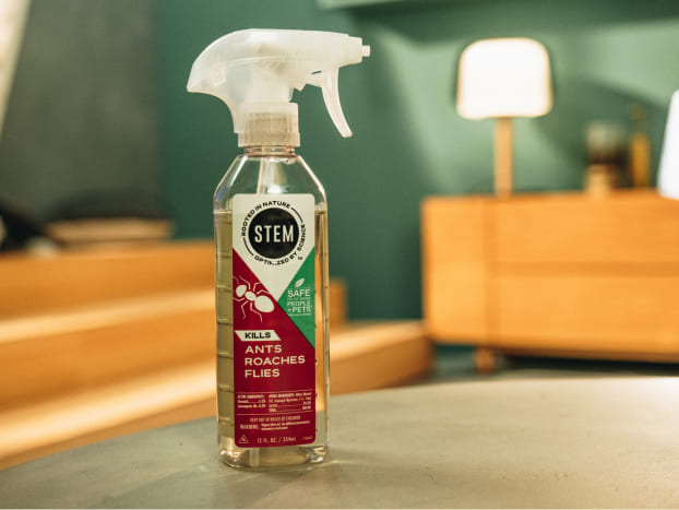 bug killer for potted plants Plant Pest Spray, Kills Plant & Garden Insects, 12oz – STEM for bugs