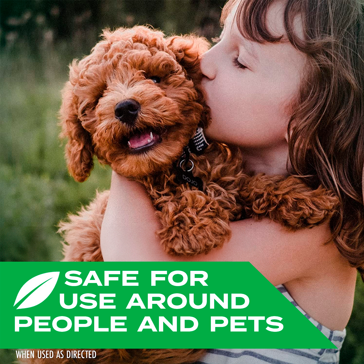 Kills Wasps, Hornets & Yellow Jackets Spray, 10 oz