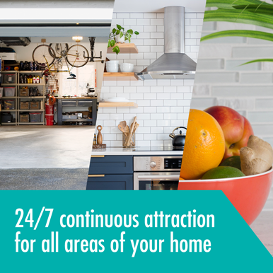 Flying Insects Light Trap Starter Kit