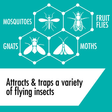 Flying Insects Light Trap Starter Kit