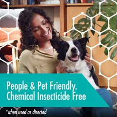 Flying Insects Light Trap Starter Kit