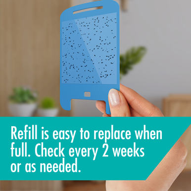 Flying Insects Light Trap Starter Kit