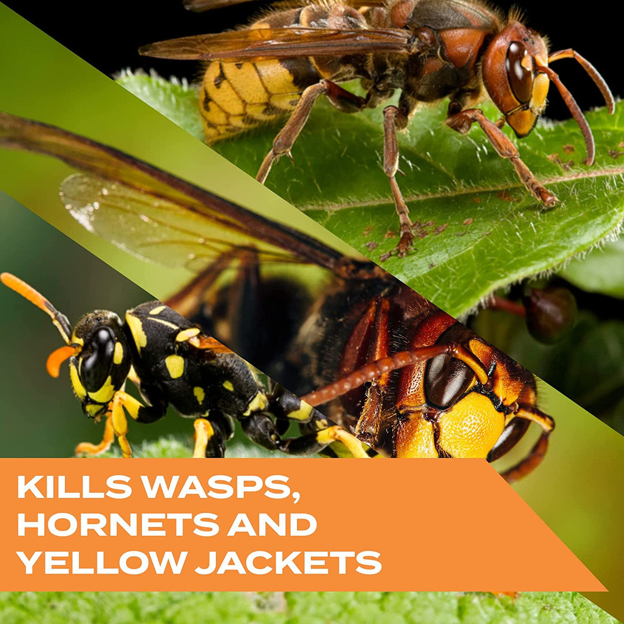 Kills Wasps, Hornets & Yellow Jackets Spray, 10 oz