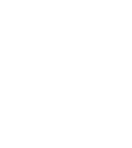 decorative icon of an ant